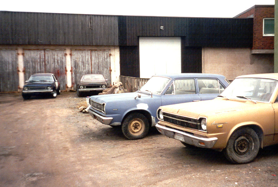 garage_2_hornets_&_2_americ.jpg